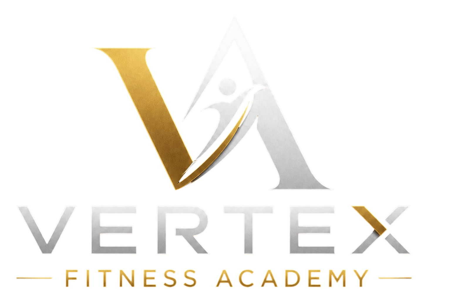 VERTEX FITNESS ACADEMY